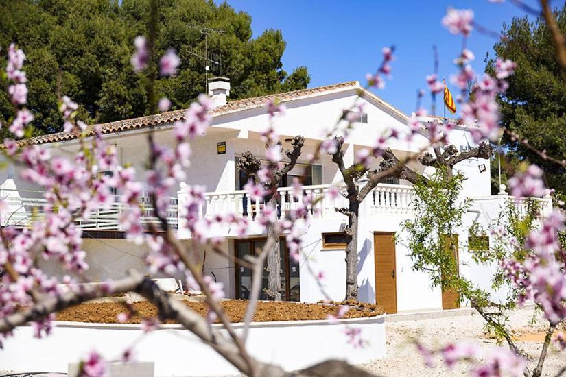 Villa Vintage Les Cases d'Alcanar Εξωτερικό φωτογραφία